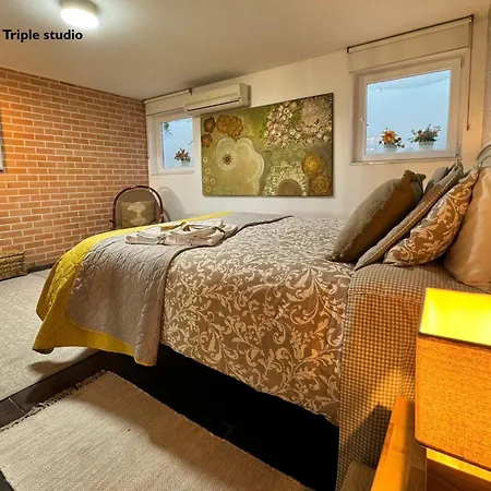 Passadicos Da Ria Apartment
