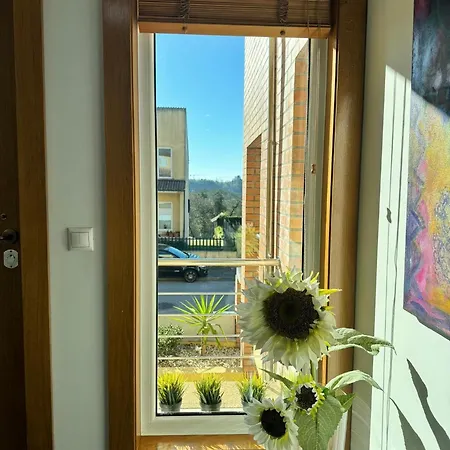 Passadicos Da Ria Apartamento *