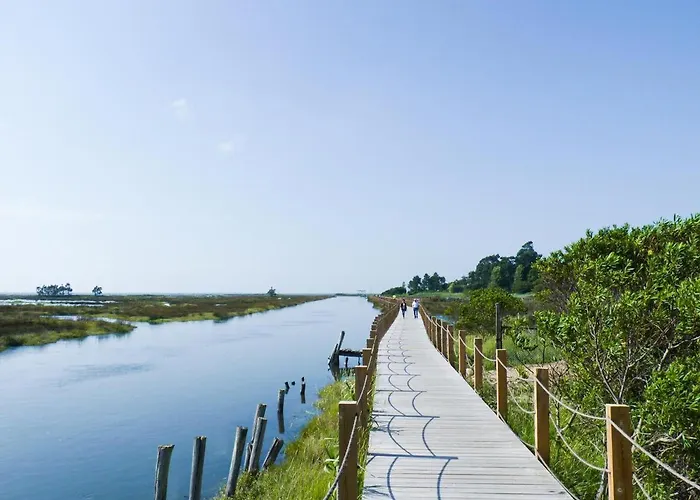 Passadicos Da Ria Appartement